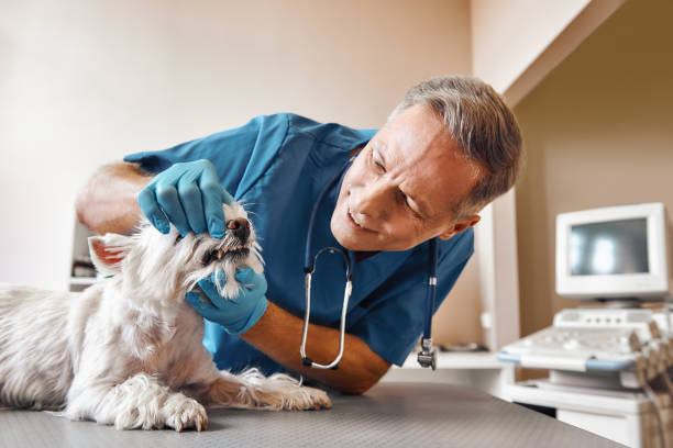 Best Emergency Tooth Extraction in Sebring, OH